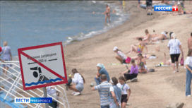 Активисты Общероссийского народного фронта проверили доступные пляжи Хабаровска
