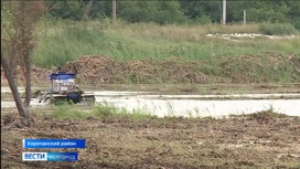Белгородские общественники оценивают работы по очистке водоемов