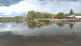 Торчали одни крыши: как зейская Ивановка пережила очередной паводок