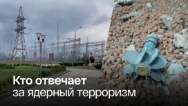 Киев может устроить чудовищную провокацию на АЭС