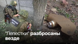 Женщина подорвалась на украинской мине
