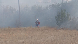 В Ростовской области как минимум два природных пожара разгорелись вблизи АЗС