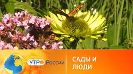В Москве проходит фестиваль "Сады и люди"