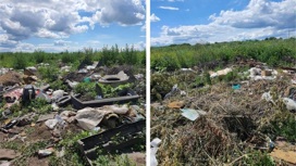 В Новосибирской области нашли 15 незаконных свалок мусора и отходов
