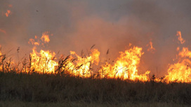 Ставропольские спасатели потушили больше 200 пожаров за неделю