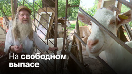 Для семейства коз в Южном Бутове просят выделить участок