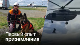 На Сахалине овчарка-спасатель научилась спускаться с вертолета