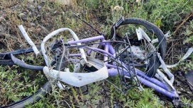 В Курганской области велосипедист погиб под поездом