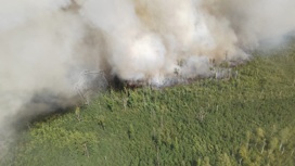 Для борьбы с огнем в Рязанской области переброшены дополнительные силы
