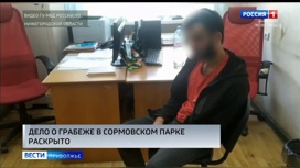 Троих мужчин арестовали по делу о грабеже в Сормовском парке Нижнего Новгорода