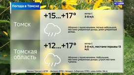 Облачно с прояснениями и до +17°С: погода в Томске на четверг