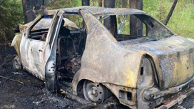 После ДТП в Новгородской области два человека сгорели в машине