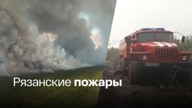 Площадь природных пожаров в Рязанской области увеличилась