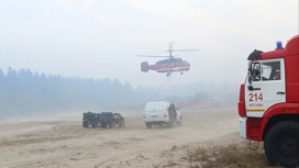Огонь охватил более 180 гектаров в Рязанской области