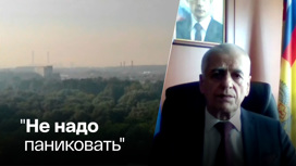 Онищенко рассказал, как спастись от смога в столице