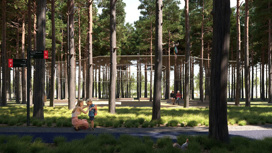 Проект тындинского парка "Багульник" стал победителем всероссийского конкурса