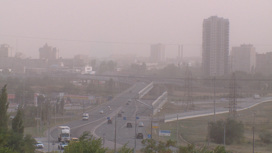 Волгоград накрыла пыльная буря