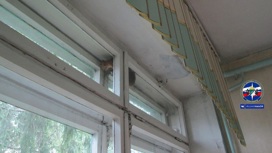 В Новосибирске спасатели помогли застрявшей в окне белке