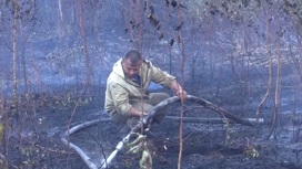 В Ивановской области горит торфяник (видео)