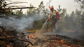 В Коми и Рязанской области борются с пожарами