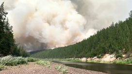 В Якутии потушены все лесные пожары