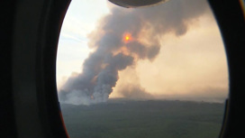 В Рязанской области удалось справиться с лесными пожарами
