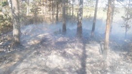 В двух районах Ярославской области горят торфяники