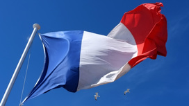 Франция осудила американские казни