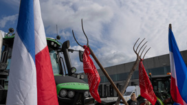 Украина разоряет фермеров ЕС