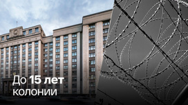 Госдума приняла поправки об ужесточении УК в военное время