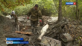 В Новгородской области поисковики извлекают из земли части истребителя "МИГ-3", сбитого в Великую Отечественную