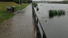 Тело младенца нашли в реке на юго-востоке столицы
