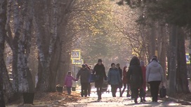 Потепление ожидается в Тюменской области к выходным
