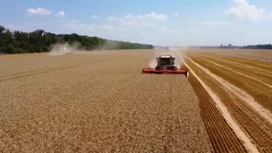 Путин заявил, что урожай зерна в 2022 году станет рекордным
