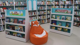 В Брянске открылась модельная библиотека нового поколения