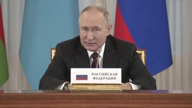 Неформальная встреча руководителей государств – участников СНГ прошла в Петербурге