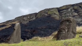 Знаменитые статуи острова Пасхи пострадали в результате лесных пожаров