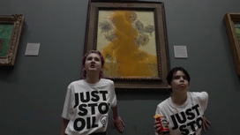 Полиция предъявила обвинение активисткам, облившим картину Ван Гога супом