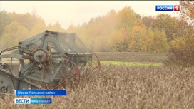 Фермеры из Юрьев-Польского района впервые посадили вместо пшеницы сою