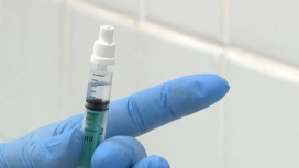 В Прикамье начали назально вакцинировать от коронавируса
