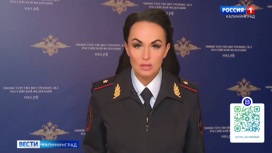 Швеция передала России человека, обвиняемого в убийстве, которое было совершено в Калининграде