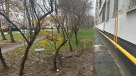 Годовалую девочку выбросили из окна 11 этажа в Москве
