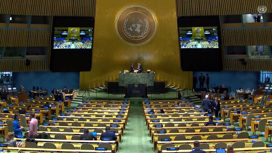 Резолюция ГА ООН о репарациях Киеву не является обязательной