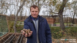 Первая на Кубани ферма средиземноморских улиток появилась под Новороссийском
