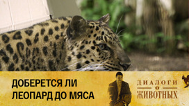 Калининградский зоопарк Серия 13