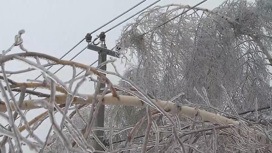 Обледеневшие деревья падали на ЛЭП в Нижегородской области