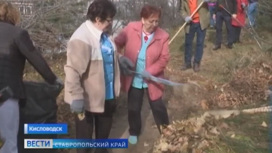 Больше 50 тонн мусора вывезли из лесов Кисловодска