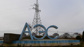 На Запорожской АЭС монтируют купол для защиты от обстрелов