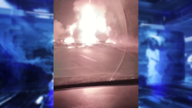 Автомобиль "Газель" с хлебом сгорел дотла на трассе под Новосибирском
