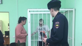 Сбившего насмерть двух человек на остановке водителя начали судить в Новосибирске